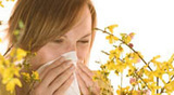 How To Control Your Allergies